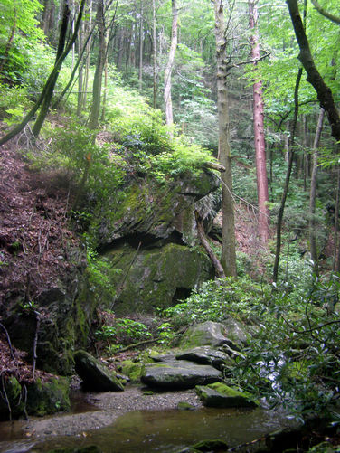 Picture 16 of Basin Creek Hike 062914