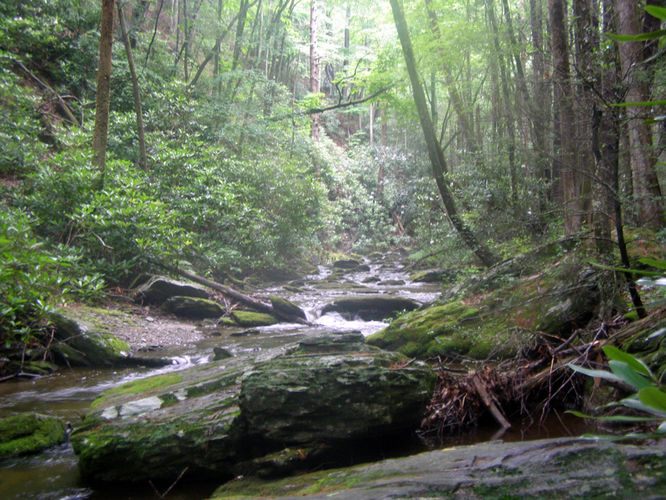 Picture 17 of Basin Creek Hike 062914