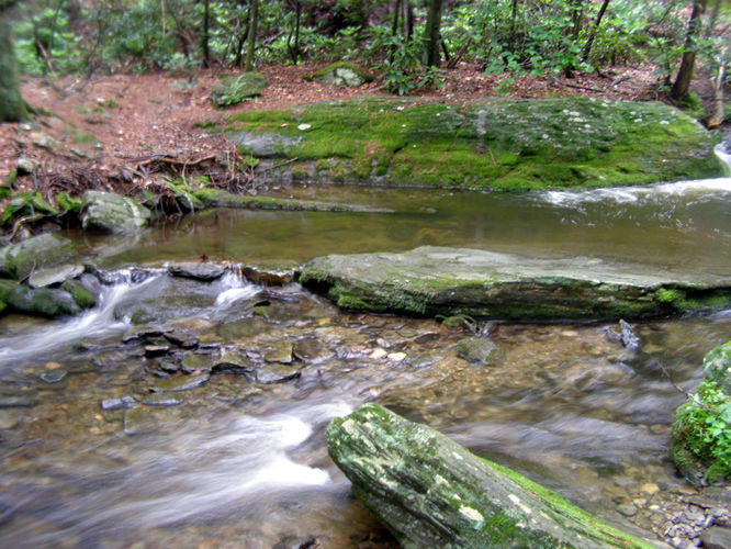 Picture 18 of Basin Creek Hike 062914