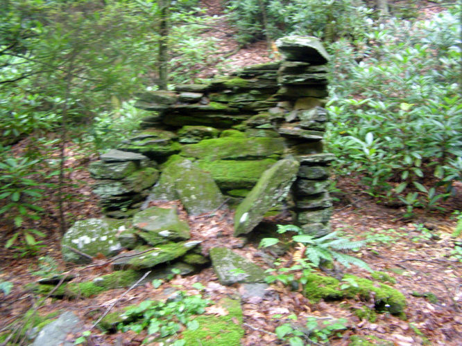 Picture 20 of Basin Creek Hike 062914