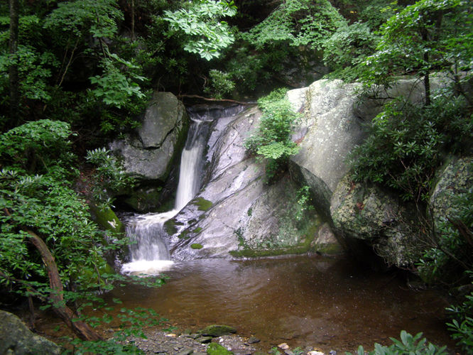 Picture 22 of Basin Creek Hike 062914