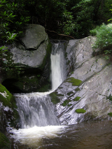 Picture 23 of Basin Creek Hike 062914