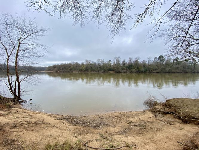 View of the Congaree River