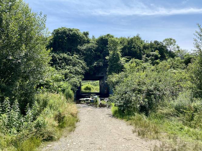 Battery Steele South Entrance