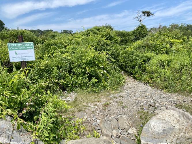 Battery Steele trailhead