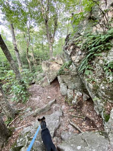 Jax hiking along Linny's Way into the Devil's Den