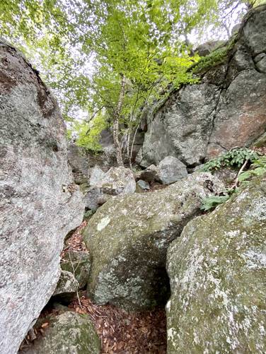 Boulders scattered throughout the Devil's Den