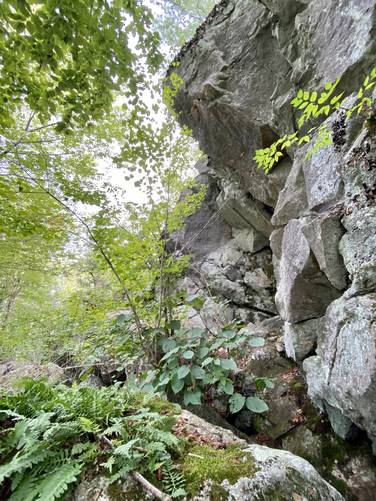 Rock cliffs, overhangs, and boulders in the Devil's Den