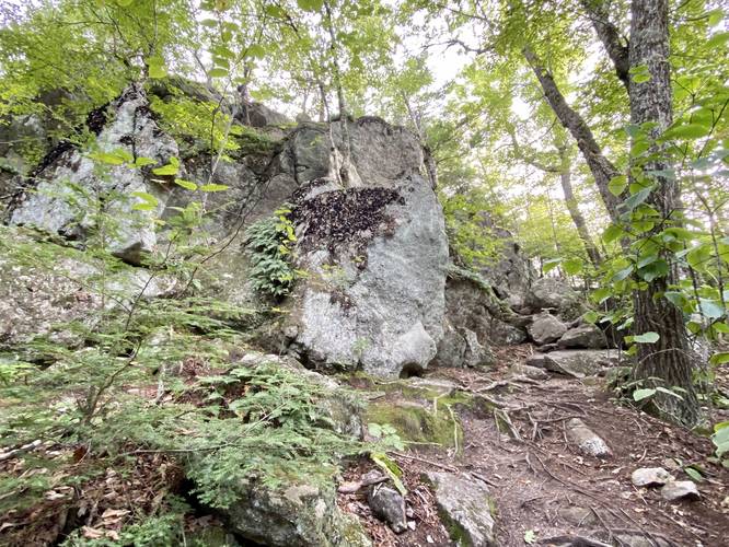 Large boulders in the Devil's Den along Linny's Way
