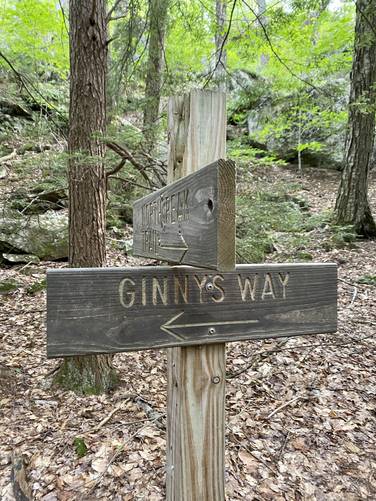 Ginny's Way junction