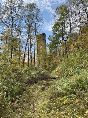 Picture 46 of Bayless Paper Mill Ruins Trail