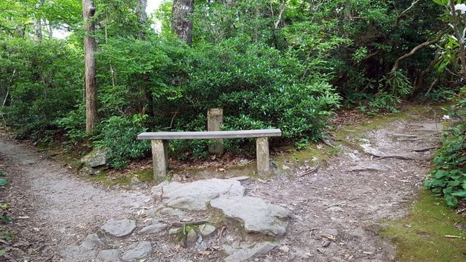 Picture 11 of Beacon Heights Hike 081215