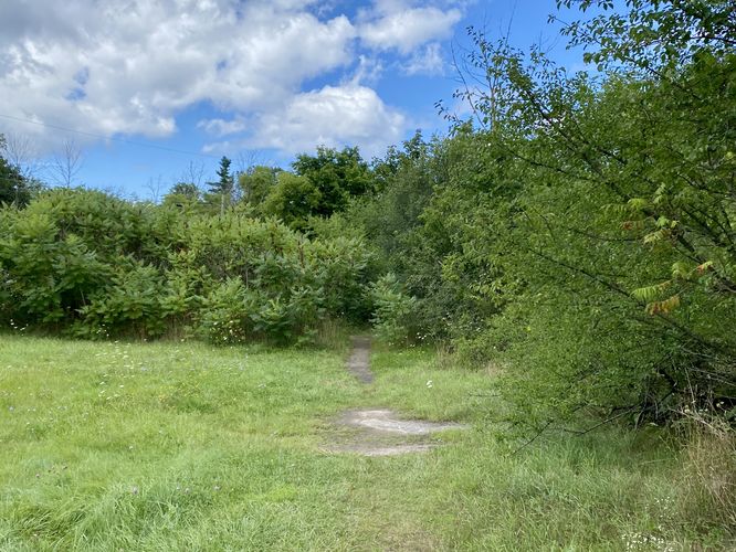 Trailhead for Beamer's Falls