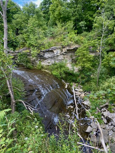 Beamer's Falls (approx. 14-meters / 46-feet)