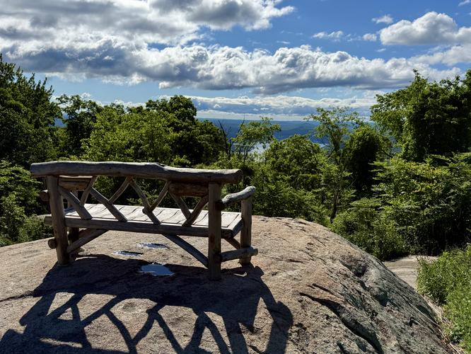 Bench with a view