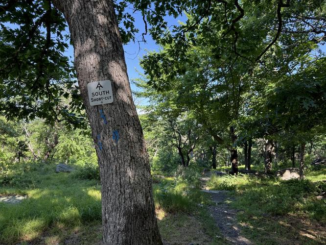 Appalachian Trail south shortcut on Bear Mountain