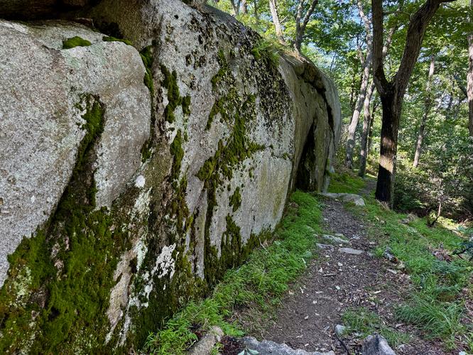 Moss-covered rock ledge