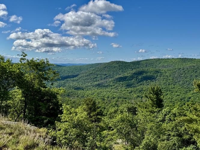 Southwest view from Bear Mountain