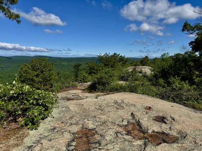 Hiking the Blue Trail north to reach the last views