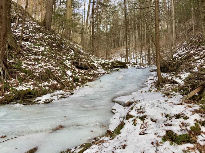 Little slide waterfall in Bear Run