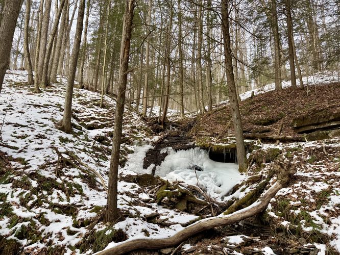 Frozen over Hillside Falls