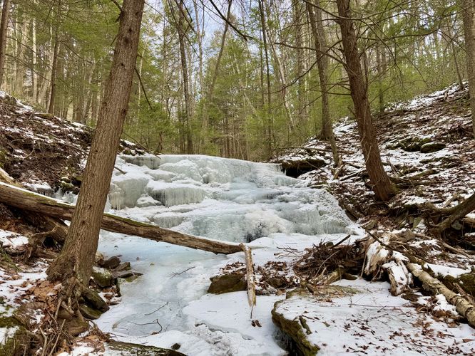 Upper Bear Run Falls