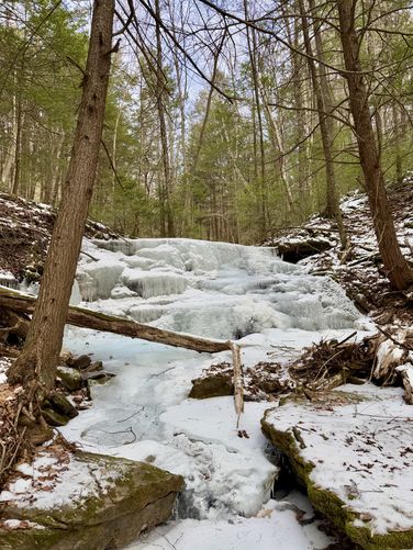 Upper Bear Run Falls