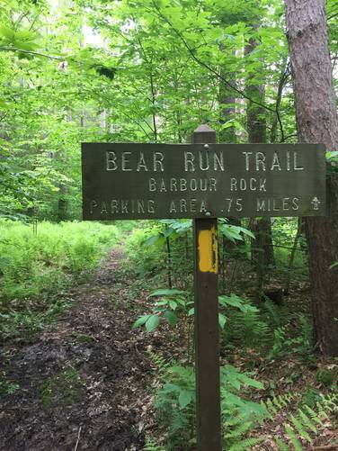Picture 8 of Bear Run Trail
