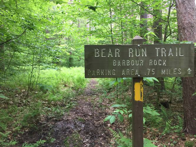 Bear Run Trail default picture
