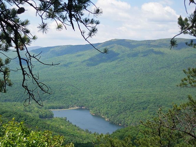 Default image for Beards Mountain Hike, a 6.2-mile trail in Millboro, VA (US)