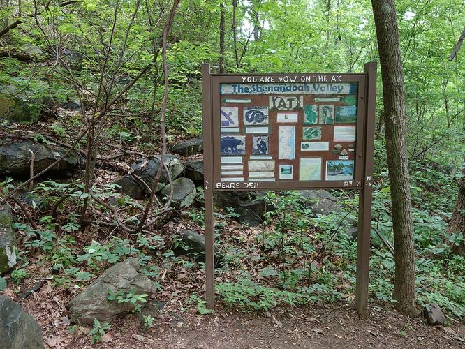 Picture 5 of Bears Den Overlook Hike 060918
