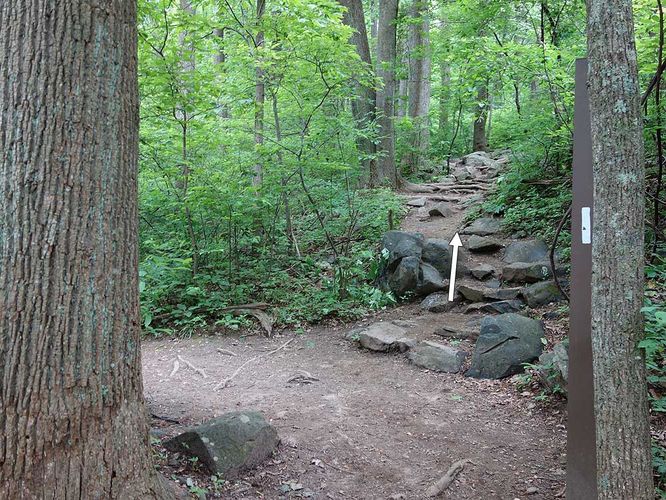 Picture 6 of Bears Den Overlook Hike 060918
