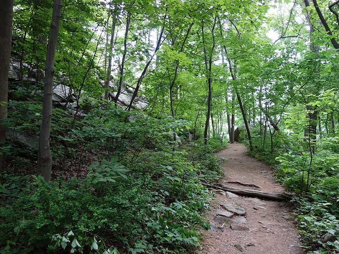 Picture 7 of Bears Den Overlook Hike 060918
