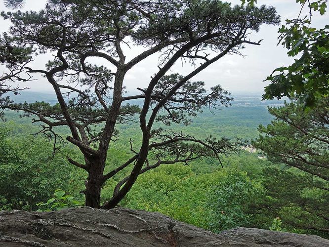 Picture 11 of Bears Den Overlook Hike 060918
