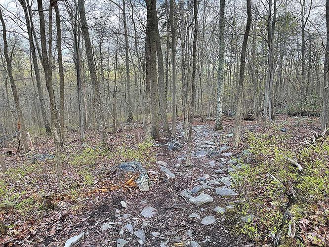 Picture 3 of Bears Den and Sam Moore Shelter Hike 042121