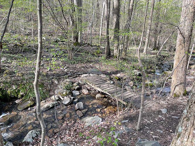 Picture 6 of Bears Den and Sam Moore Shelter Hike 042121
