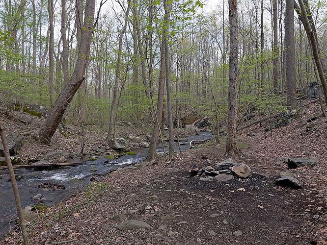 Picture 8 of Bears Den and Sam Moore Shelter Hike 042121