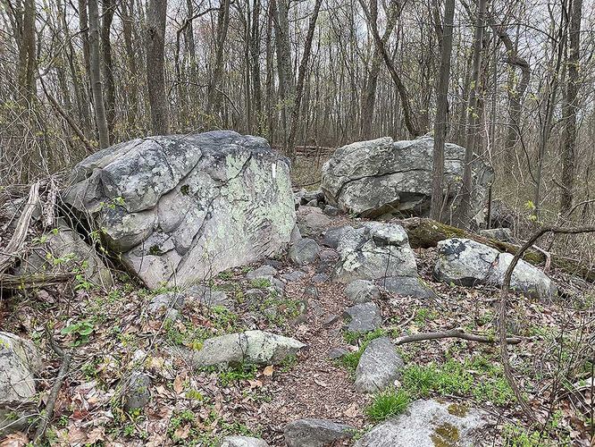 Picture 16 of Bears Den and Sam Moore Shelter Hike 042121