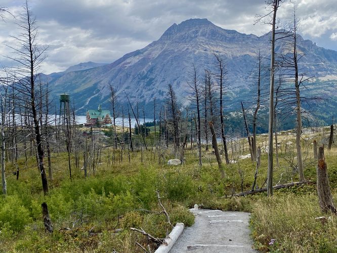 View of the Prince of Wales Hotel and Vimy Peak from the trail