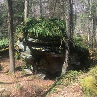 Picture 6 of Beartown Boulders Hike 041117