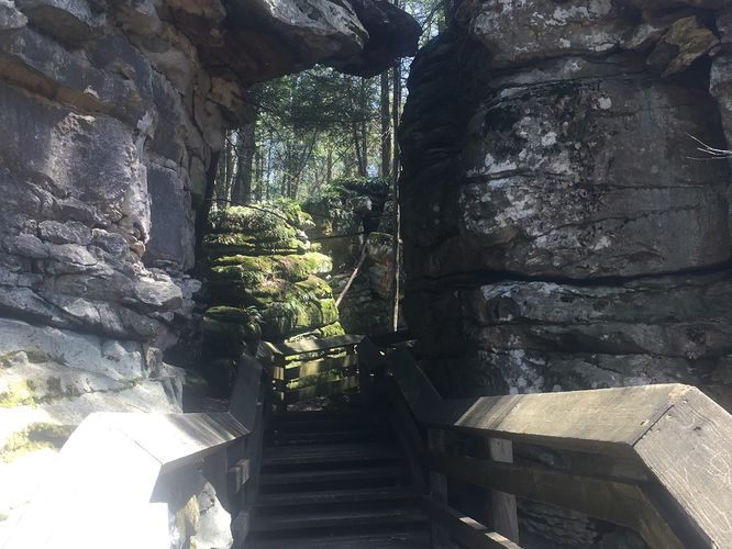 Default image for Beartown Boulders Hike, a 0.6-mile trail in Renicks Valley, WV (US)
