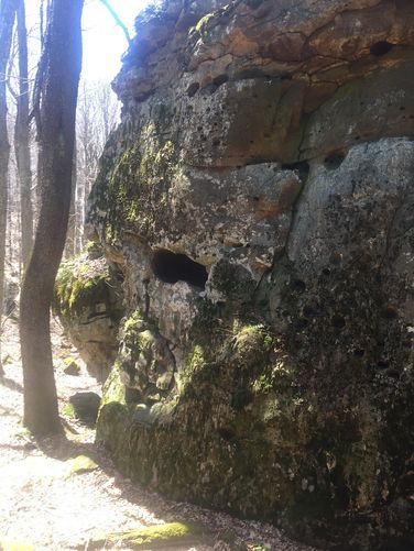 Picture 11 of Beartown Boulders Hike 041117