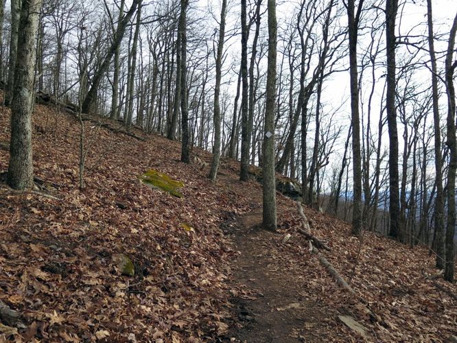 Picture 8 of Bearwallow Mtn and Blue RIdge Pastures Hike 122015