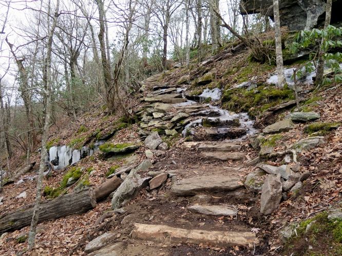Picture 9 of Bearwallow Mtn and Blue RIdge Pastures Hike 122015