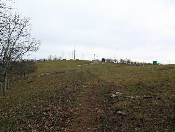 Picture 10 of Bearwallow Mtn and Blue RIdge Pastures Hike 122015