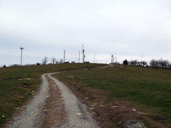 Picture 11 of Bearwallow Mtn and Blue RIdge Pastures Hike 122015