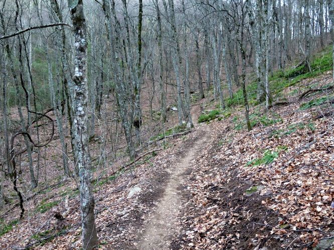 Picture 28 of Bearwallow Mtn and Blue RIdge Pastures Hike 122015