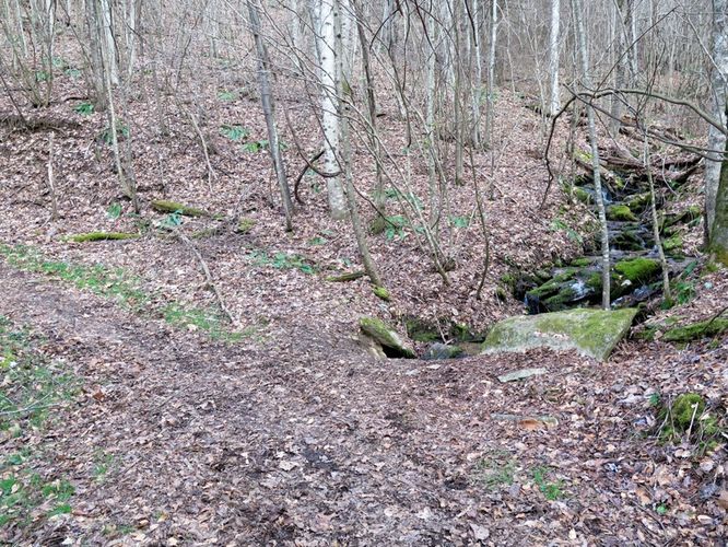 Picture 29 of Bearwallow Mtn and Blue RIdge Pastures Hike 122015