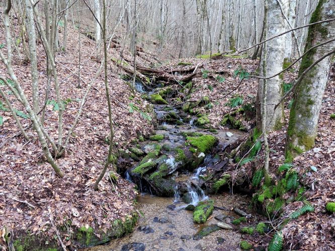 Picture 30 of Bearwallow Mtn and Blue RIdge Pastures Hike 122015