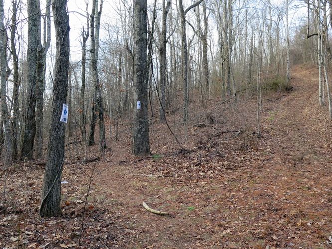 Picture 31 of Bearwallow Mtn and Blue RIdge Pastures Hike 122015